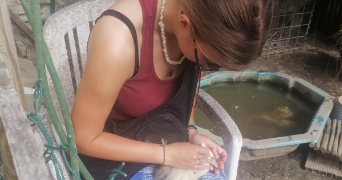 emma pet sitter à GUERVILLE 78930_3