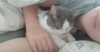 manelle pet sitter à LIÈGE 4000_8