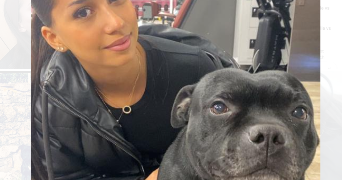 tévy pet sitter à MARSEILLE 05 13005_2