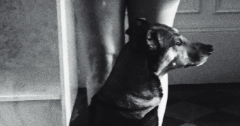 déborah pet sitter à LYON 03 69003_0