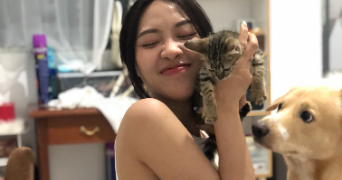 ayu pet sitter à BREST 29200_1