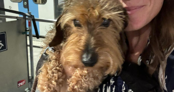 anne-claire pet sitter à LA GARENNE COLOMBES 92250_4