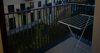 lauretta pet sitter à PALAISEAU 91120_7