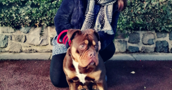 sophie pet sitter à LILLE 59160_0