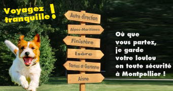 helene pet sitter à MONTPELLIER 34000_11