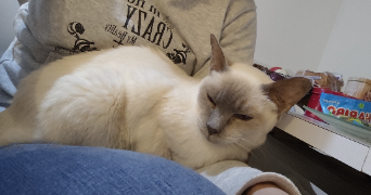 gwendoline pet sitter à Val de la Haye 76380_2