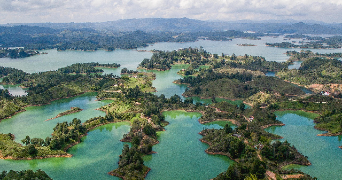 claude pet sitter à NANTERRE 92000_0