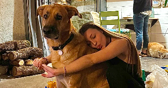 tao pet sitter à TOULOUSE 31000_4