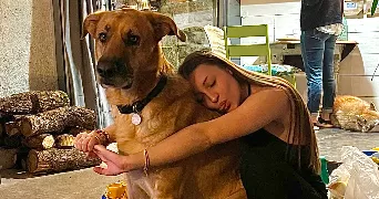 tao pet sitter à TOULOUSE 31000