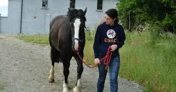 LISE pet sitter à VIROFLAY 78220