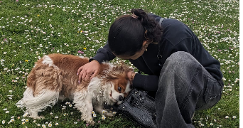 jade pet sitter à MARSEILLE 07 13007_1