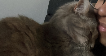 maurane pet sitter à CASTELNAU LE LEZ 34170_2