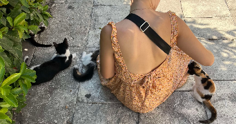 emma pet sitter à PARIS 09 75009_2