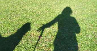 cyrielle pet sitter à NANTES 44000_2