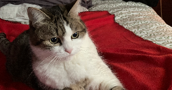 emmanuelle pet sitter à VALLEES D ANTRAIGUES ASPERJOC 07530_2