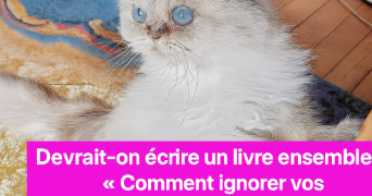 andrea pet sitter à PARIS 11 75011_7