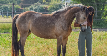 emma pet sitter à AIX EN PROVENCE 13100_2