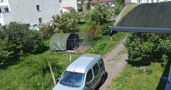 alison pet sitter à LONGEVILLE LES ST AVOLD 57740_1
