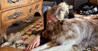 ilona pet sitter à LYON 69003_0