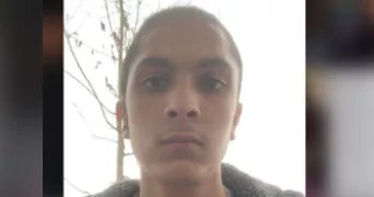 sifdine pet sitter à ST FONS 69190