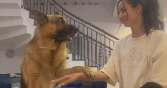 nour el imene pet sitter à PARIS 11 75011_3