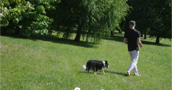 vincent pet sitter à PARIS 15 75015_1