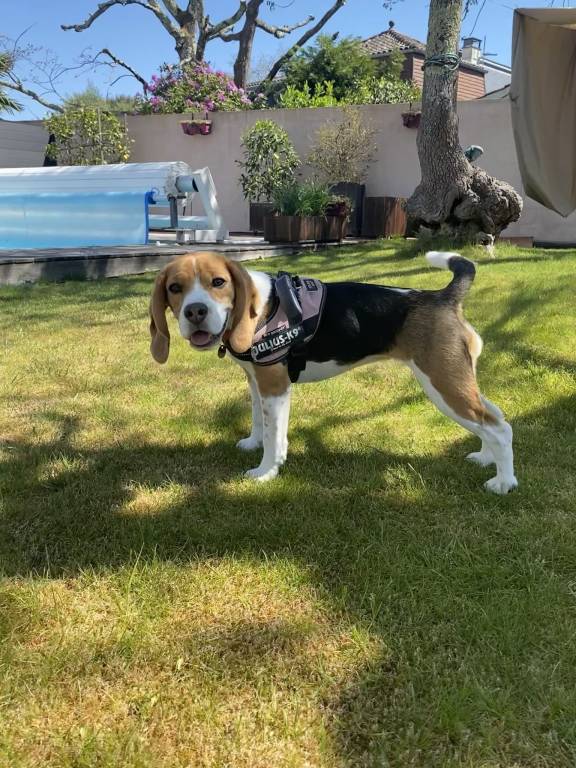 Noémie pet sitter à Bordeaux 33100_5