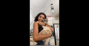 douae pet sitter à TOULON 83000_3