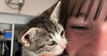 lylou pet sitter à MONDONVILLE 31700_2