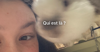 manon pet sitter à NANCY 54000_1