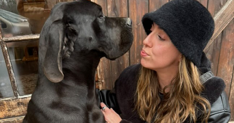 gwladys dog sitter à TOULOUSE 31000_1