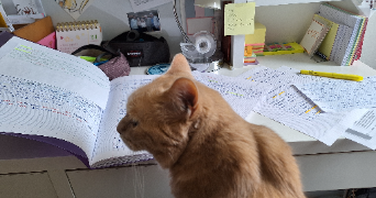 clara pet sitter à BOULOGNE BILLANCOURT 92100_3