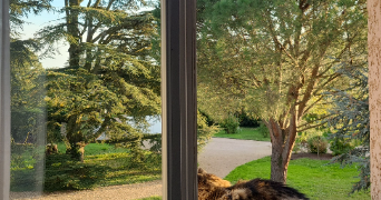 pauline pet sitter à MORANCE 69480_2