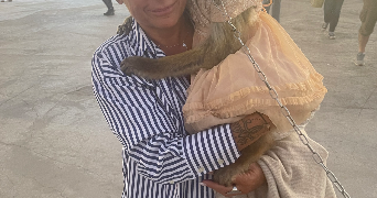 cermolacce pet sitter à MARSEILLE 13 13013_0