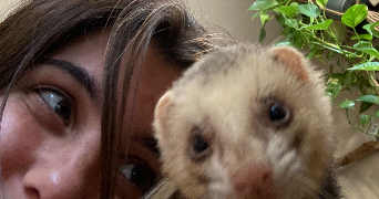 inès pet sitter à LYON 08 69008_1