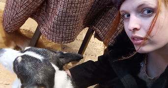 lou pet sitter à ALBI 81000_3