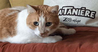 elodie pet sitter à MARSEILLE 08 13008_6