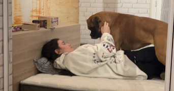 lilas pet sitter à CHELLES 77500_1
