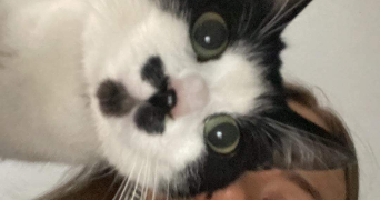 sophie pet sitter à AMIENS 80000_8