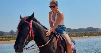 clervie pet sitter à LANDERNEAU 29800