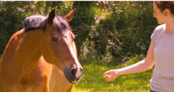 anaïs pet sitter à GAILLARD 74240_1