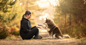 julia pet sitter à ST PATHUS 77178_7