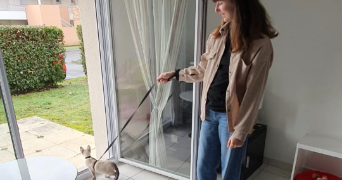cathy cat sitter à LORIENT 56100_0