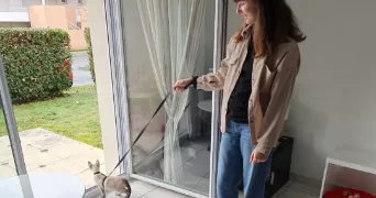 cathy cat sitter à LORIENT 56100