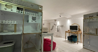 estelle cat sitter à SANARY SUR MER 83110_3