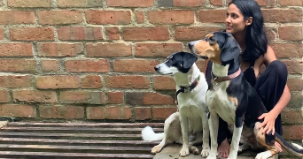 mafe dog sitter à PARIS 17 75017_5