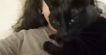 ludivine pet sitter à BENODET 29950_1