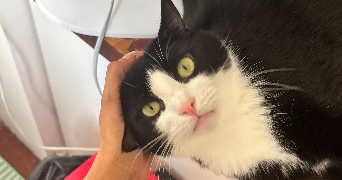 myriam pet sitter à PARIS 13 75013_4