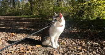 bénédicte pet sitter à Seytroux 74430_1