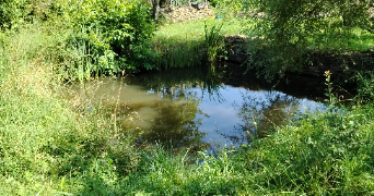 benedicte pet sitter à Longeau percey 52250_4